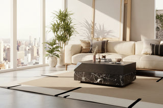 Black Rose Marble Coffee Table