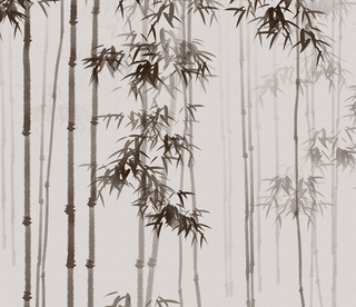 Bamboo Trees Wallpaper Murals: Transform Your Space-Trees Wallpaper