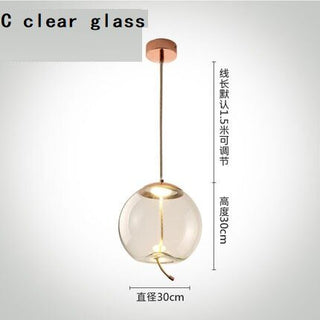 Clear Glass Pendant Light for Captivating Ambiance-Pendant Lights