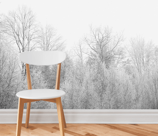 Misty Trees Wallpaper Murals: Transform Your Space-Trees Wallpaper