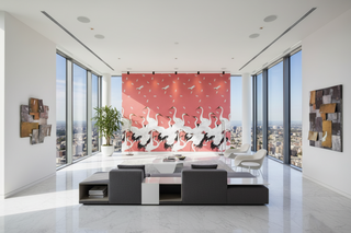 Salmon Pink Cranes & Dragonflies Wallpaper Mural