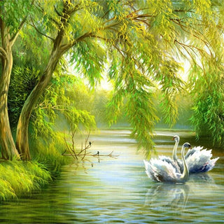 Swans in Lake Wallpaper - Transform Your Space-Trees Wallpaper