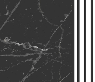 White Fog Stone - Marble Wallpaper Murals-Marble Design Wallpaper