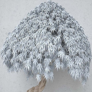 Willow Tree Mural Art Wallpaper - Home Wall Decor-Trees Wallpaper