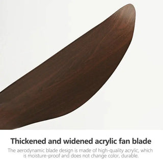 Acrylic Wood Finish Designer Ceiling Fan-Ceiling Fans