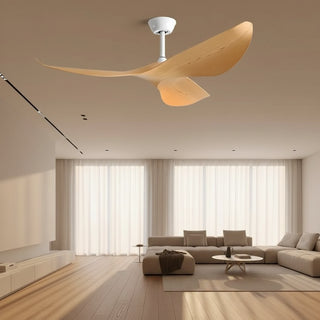 Acrylic Wood Finish Designer Ceiling Fan-GraffitiWallArts
